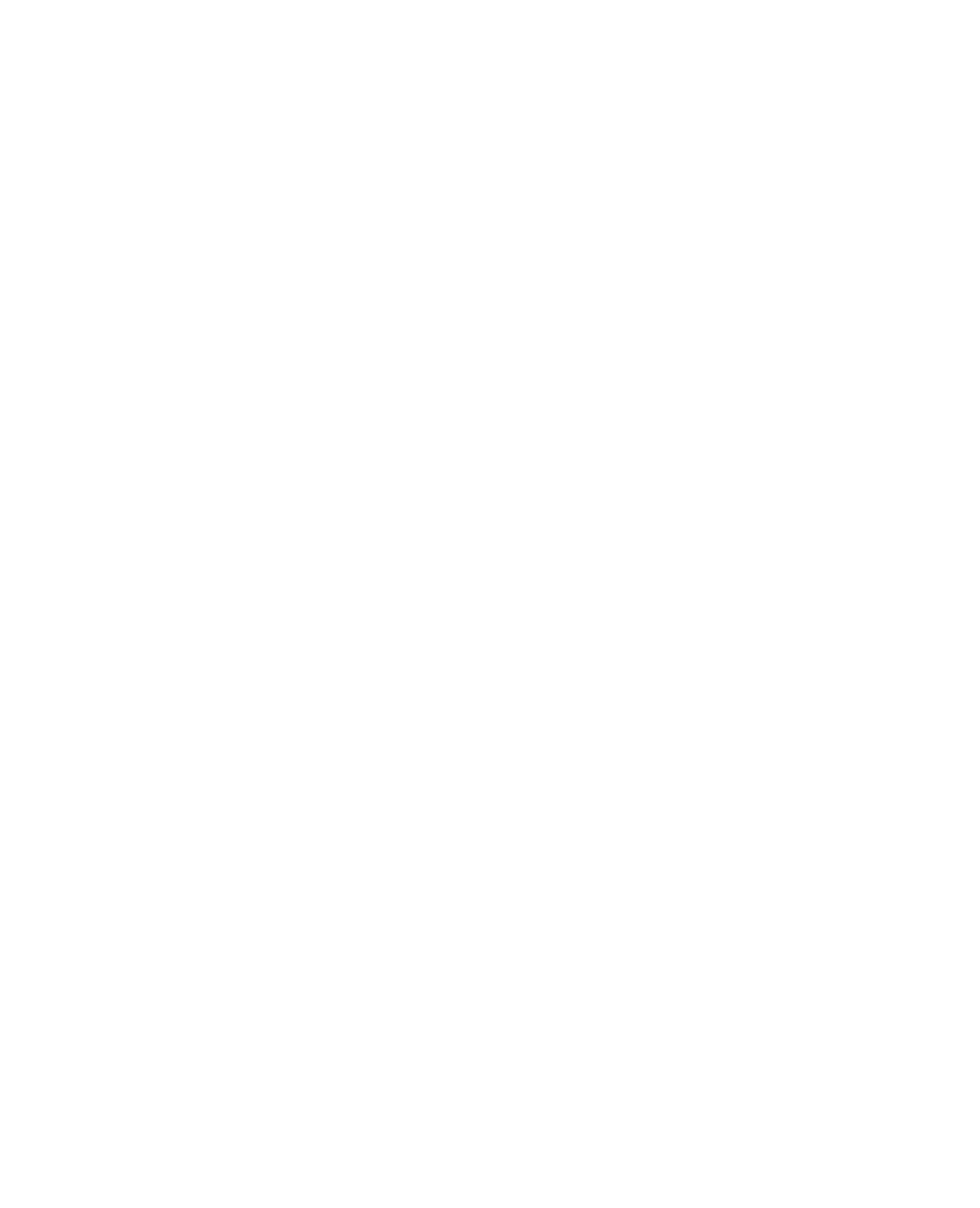 Logo Iterrae blanc