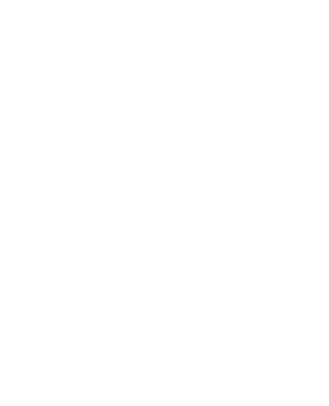Iterrae Consulting